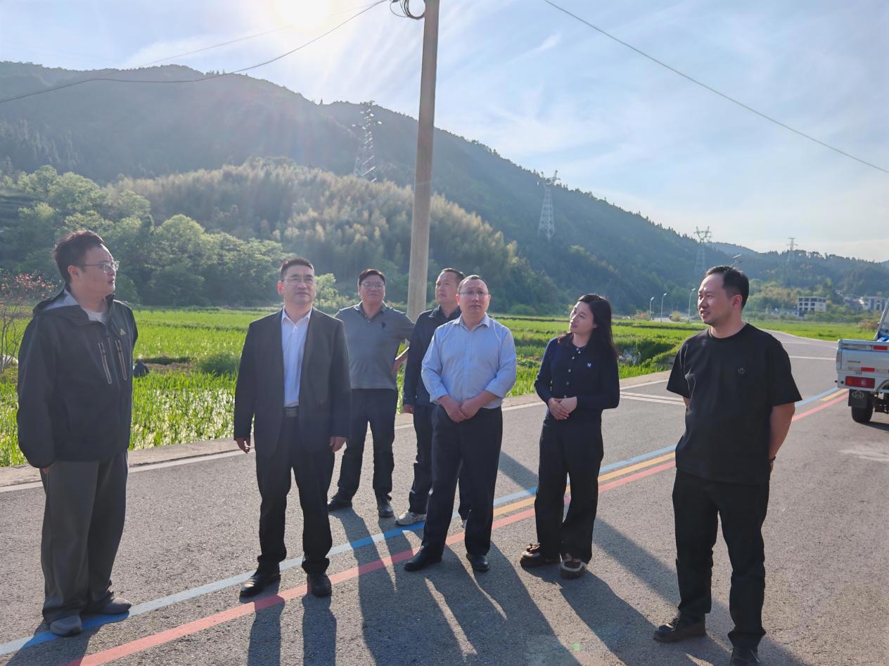 荣岳集团赴清凉石关公司检查指导工作